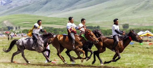 美丽的康巴故乡（读城康巴汉子无法拒绝的诱惑）(12)