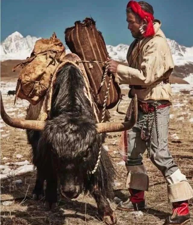 美丽的康巴故乡（读城康巴汉子无法拒绝的诱惑）(10)