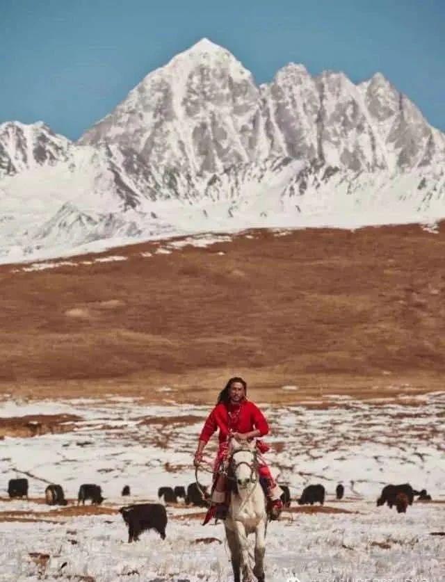 美丽的康巴故乡（读城康巴汉子无法拒绝的诱惑）(15)