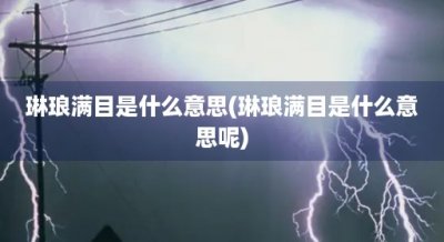 ​琳琅满目是什么意思(琳琅满目是什么意思呢)