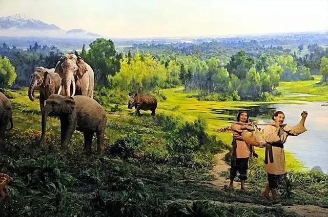 四川为什么叫四川盆地（四川盆地作用这么大）(5)