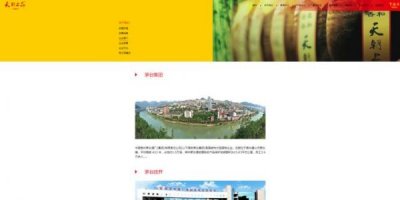 ​五粮液100年上品价格(五粮液100年上品52度多少钱)