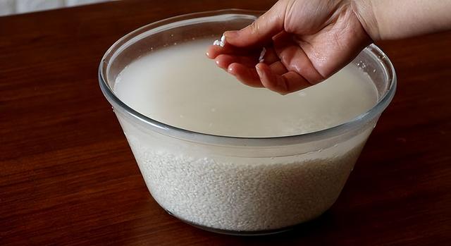 端午节吃粽子的5种粽子推荐（5种不同口味粽子已准备好）(18)