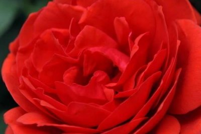 ​四季养生各有所需各有不同