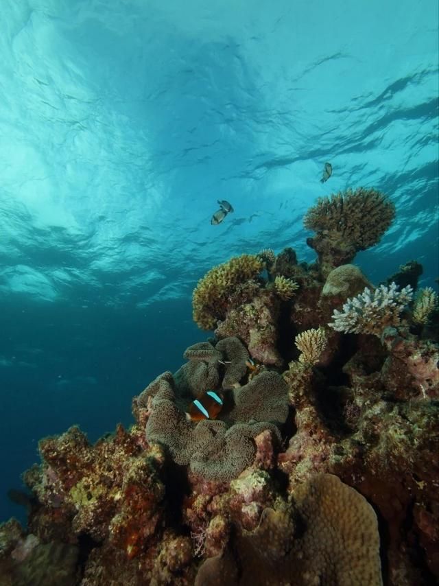 中国名胜古迹，中国十大风景名胜古迹。你去过几个？图16