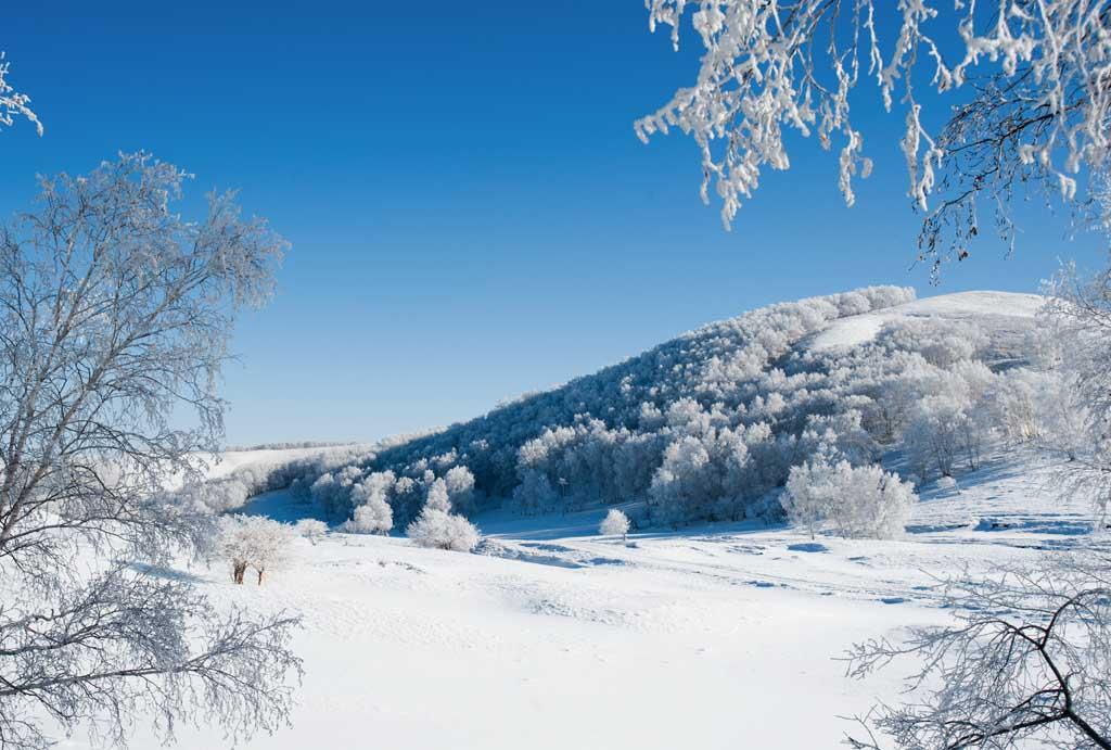 俄罗斯真的有那么大吗(俄罗斯为什么这么大)