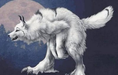 ​总说狼狈为奸，那“狈”是什么物种呢？你绝对想不到