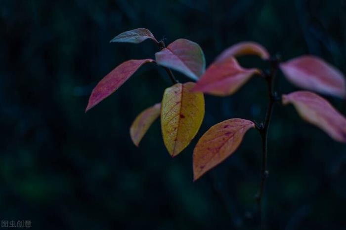 老婆铁了心离婚劝不动（我跟老婆离婚）