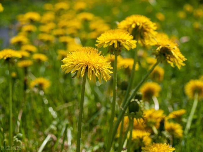 老婆铁了心离婚劝不动（我跟老婆离婚）