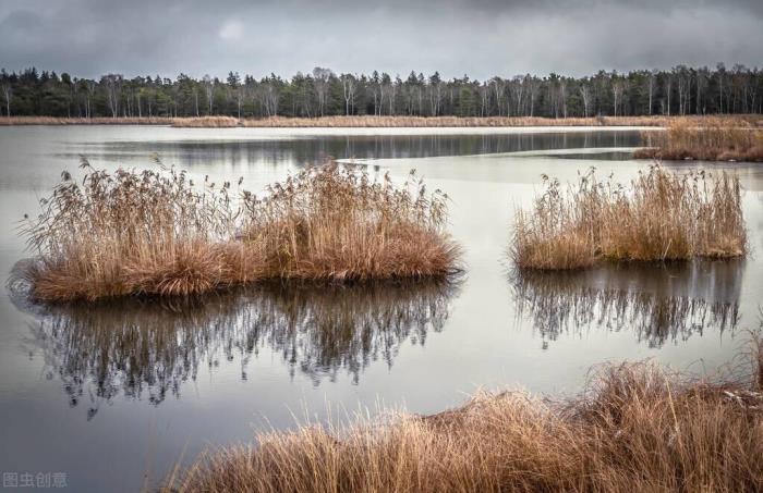老婆铁了心离婚劝不动（我跟老婆离婚）