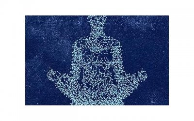 ​哪些时间段适合性生活？适合性生活的时间