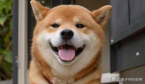 搞笑段子：以为走我前面的一人是舍友，偷偷跑上去对着屁股就一脚