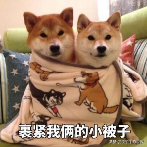 ​搞笑段子：以为走我前面的一人是舍友，偷偷跑上去对着屁股就一脚