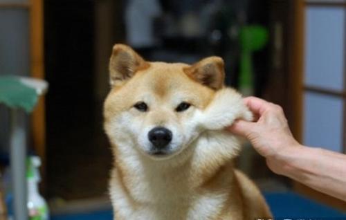 搞笑段子：以为走我前面的一人是舍友，偷偷跑上去对着屁股就一脚