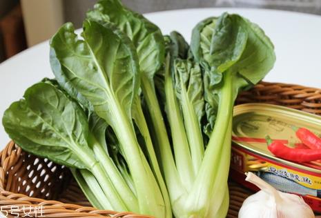 乌塌菜什么时候播种 乌塌菜播种条件