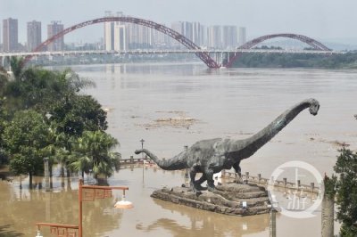 ​合川洪峰过境 景观绿树都被江水淹没了