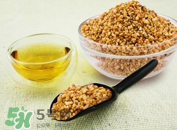 荞麦可以泡水喝吗?荞麦泡水的功效与作用