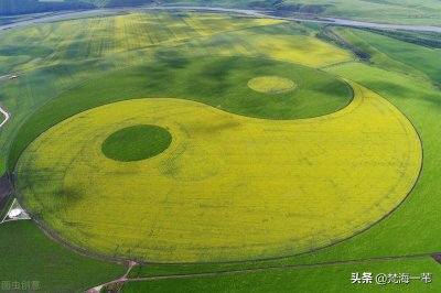 ​古人如何用蓍草占卜（占筮为什么用蓍草）