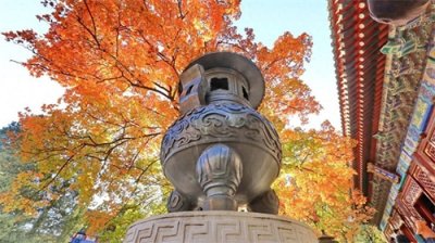 ​北京香山山峦红遍，层林尽染，红叶美不胜收
