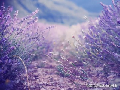 ​推荐一本女主穿越男主是和尚的小说《月明千里》