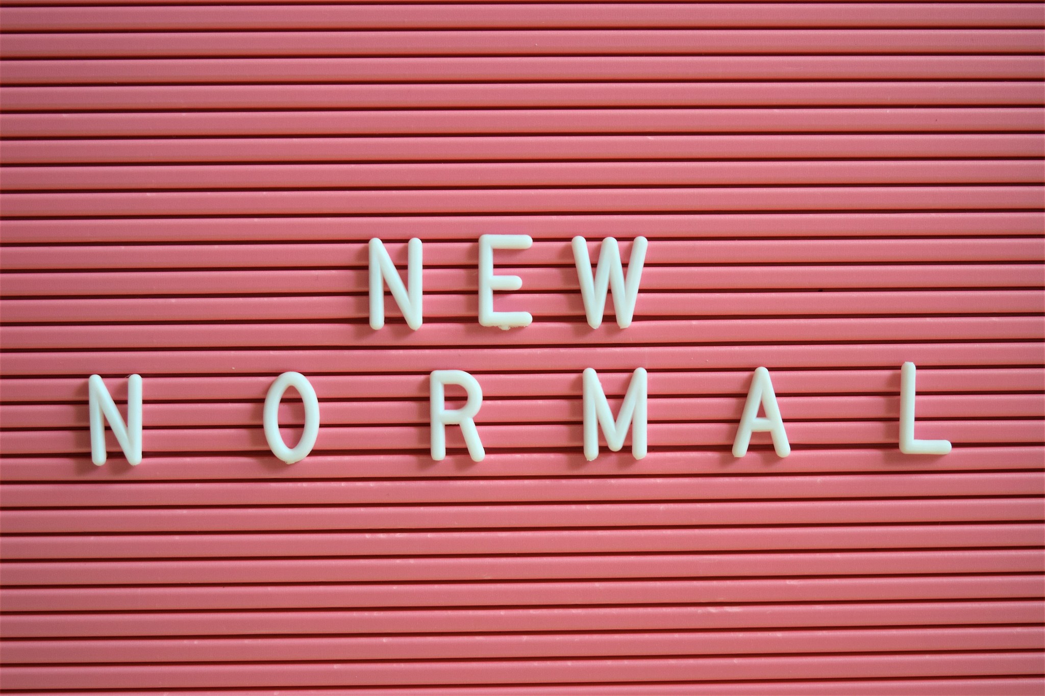 8岁怎么创业挣钱