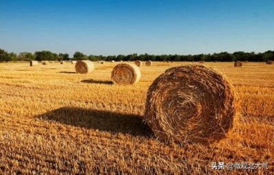 ​红兴隆秸秆综合利用打造绿色生态农业