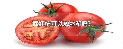 ​西红柿可以放冰箱吗?