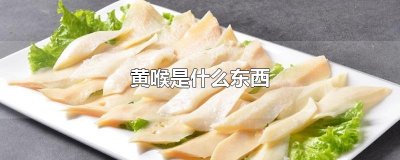 ​黄喉是什么东西