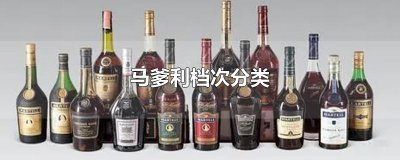 ​马爹利档次分类