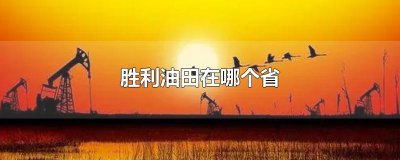 ​胜利油田在哪个省