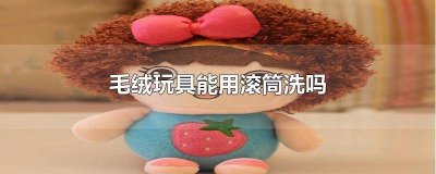 ​大毛绒玩具能用滚筒洗吗 毛绒玩具可以用滚筒洗衣机洗吗?