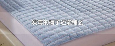 ​发霉的褥子还能铺么 褥子底下发霉
