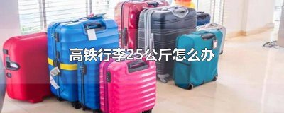 ​高铁行李不能超过20公斤吗 搭高铁最多可以带多少公斤行李?