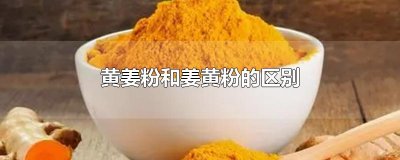 ​黄姜粉和姜黄粉的区别