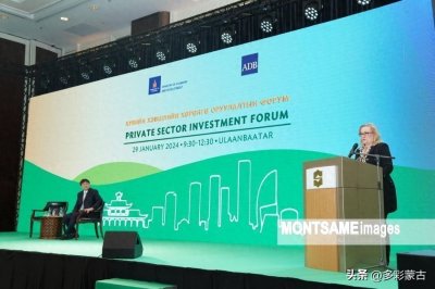 ​蒙古国私营体投资将保障其经济增长