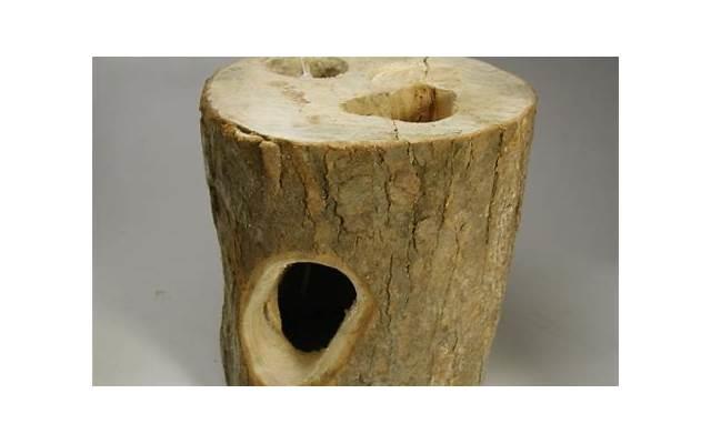 社会型职业兴趣