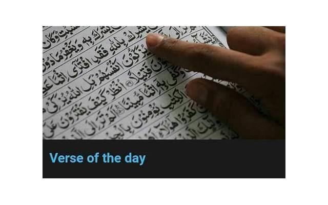 车速快多肉的百合动画推荐