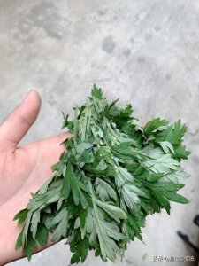 ​清明咬春指南！5种老辈传下来的时令吃法，不藏了全公开