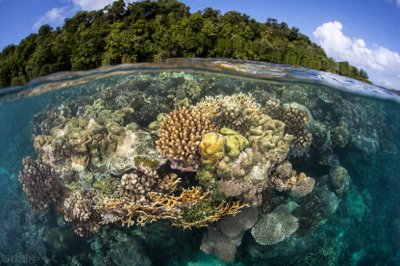 ​所罗门群岛的“现状”，带你看看真实的“所罗门群岛”