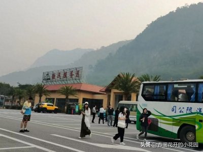 ​西双版纳(九)：望天树景区