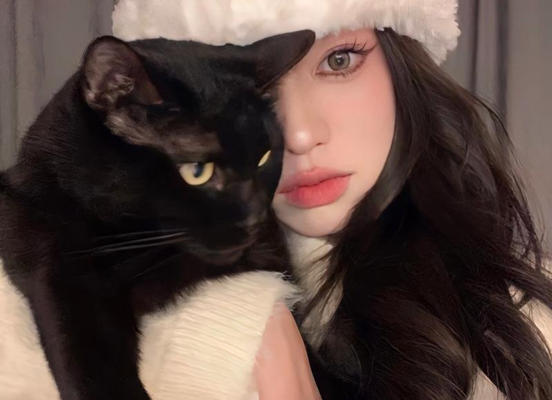 砥志研思精进不休什么意思的简单介绍