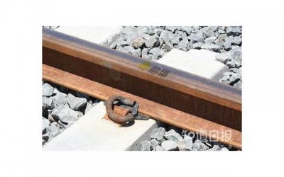 ​降血压喝什么茶最好（能够有效辅助降血压）