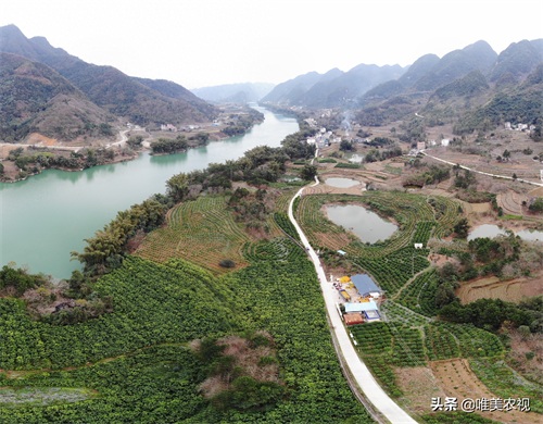 航拍图片：广西母亲河红水河东兰段，生命如水有哪段不美？