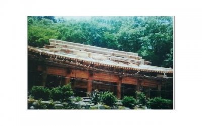 ​感情中没有安全感怎么办