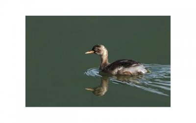 ​男方婚房谁布置？