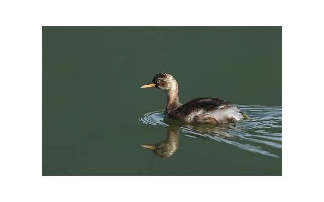 男方婚房谁布置? 男方婚房谁布置?