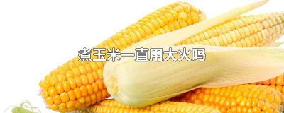 ​煮玉米要大火小火 煮玉米用多大火
