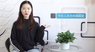 ​国徽的图案里有什么