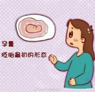 ​孕妈B超单子上的“胎囊（孕囊）”是什么意思？