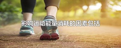 ​影响运动能量消耗的因素包括